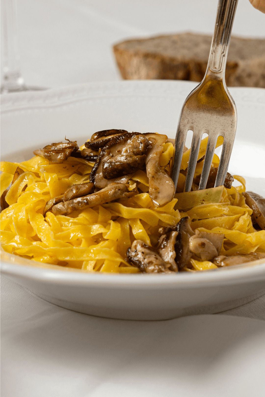 Tagliatelle porcini